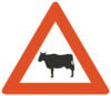 Cattle Road Sign Clip Art